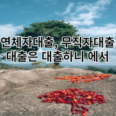 연체자 무직자 대출은 대출하니 대부대출 확인하자