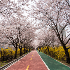 전주 대부대출 전주 비대면소액대출 전주 일용직대출 전주 대출조회 원할때