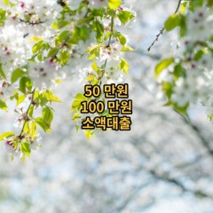 50만원 소액대출 100만원 소액대출 무직자 소액대출