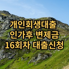 개인회생대출 인가후16회차 개인회생대출 변제금16회차 개인회생중대출 미납금16회차 대출가능한곳