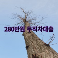 280만원무직자대출 급전 당일 소액 일수 월변