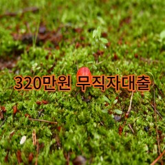 320만원무직자대출 급전 당일 소액 일수 월변