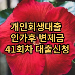 개인회생대출 인가후41회차 개인회생대출 변제금41회차 개인회생중대출 미납금41회차 대출가능한곳