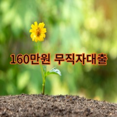 160만원무직자대출 급전 당일 소액 일수 월변