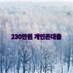 230만원개인돈대출 급전 당일 소액 일수 월변