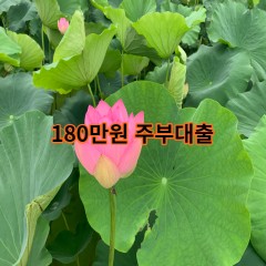 180만원주부대출 급전 당일 소액 일수 월변