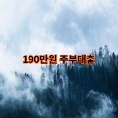 190만원주부대출 급전 당일 소액 일수 월변