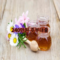 240만원주부대출 급전 당일 소액 일수 월변