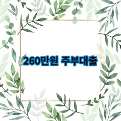 260만원주부대출 급전 당일 소액 일수 월변