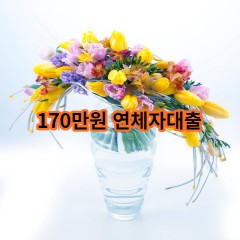 170만원 연체자대출 급전 당일 소액 일수 월변