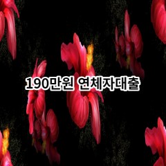 190만원 연체자대출 급전 당일 소액 일수 월변