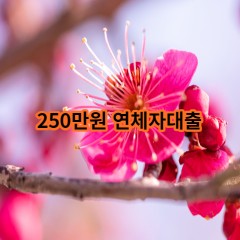 250만원 연체자대출 급전 당일 소액 일수 월변