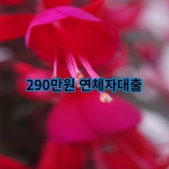 290만원 연체자대출 급전 당일 소액 일수 월변