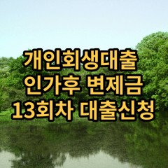 개인회생대출 인가후13회차 개인회생대출 변제금13회차 개인회생중대출 미납금13회차 대출가능한곳