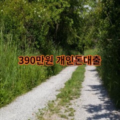 390만원개인돈대출 급전 당일 소액 일수 월변