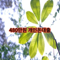 480만원개인돈대출 급전 당일 소액 일수 월변