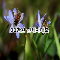 20만원 연체자대출 급전 당일 소액 일수 월변