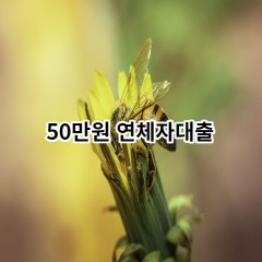 50만원 연체자대출 급전 당일 소액 일수 월변