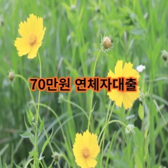 70만원 연체자대출 급전 당일 소액 일수 월변