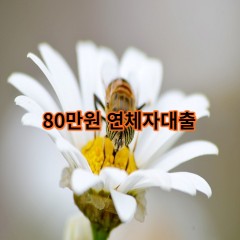 80만원 연체자대출 급전 당일 소액 일수 월변