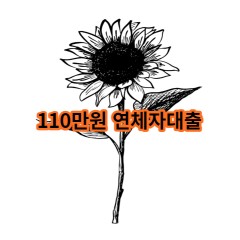 110만원 연체자대출 급전 당일 소액 일수 월변