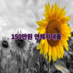 150만원 연체자대출 급전 당일 소액 일수 월변