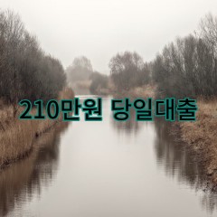 210만원대출 급전 당일 소액 일수 월변