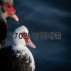 270만원대출 급전 당일 소액 일수 월변