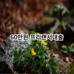 60만원 프리랜서대출 급전 당일 소액 일수 월변