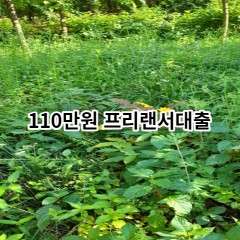 110만원 프리랜서대출 급전 당일 소액 일수 월변