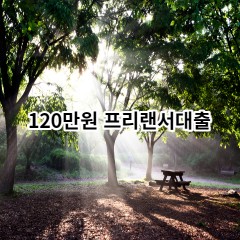 120만원 프리랜서대출 급전 당일 소액 일수 월변