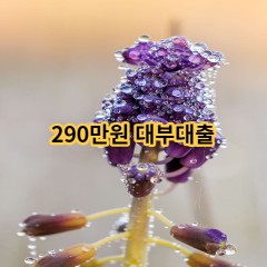 290만원 대부대출 급전 당일 소액 일수 월변