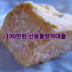 190만원 신용불량자대출 급전 당일 소액 일수 월변