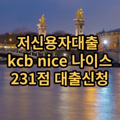 저신용자대출 kcb231점 저신용소액대출 nice231점 저신용비대면대출 나이스231점 신용대출가능한곳