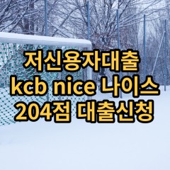 저신용자대출 kcb204점 저신용소액대출 nice204점 저신용비대면대출 나이스204점 신용대출가능한곳