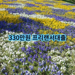 330만원 프리랜서대출 급전 당일 소액 일수 월변