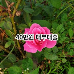 40만원 대부대출 급전 당일 소액 일수 월변