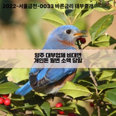 양주대부업체 양주비대면대부업체 대부업체개인돈 양주월변대부업체 양주소액대부업체