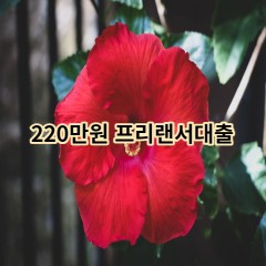 220만원 프리랜서대출 급전 당일 소액 일수 월변