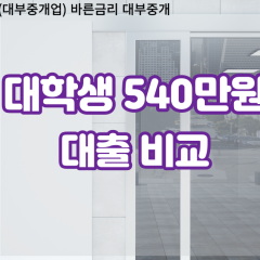 대학생 월변540만원대출 소액540만원대출 개인돈540만원 비대면540만원