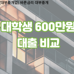 대학생 월변600만원대출 소액600만원대출 개인돈600만원 비대면600만원