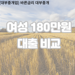 여성 월변180만원대출 소액180만원대출 개인돈180만원 비대면180만원