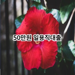 50만원 일용직대출 급전 당일 소액 일수 월변