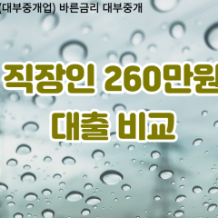 직장인 월변260만원대출 소액260만원대출 개인돈260만원 비대면260만원