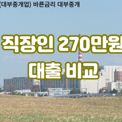 직장인 월변270만원대출 소액270만원대출 개인돈270만원 비대면270만원