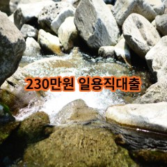 230만원 일용직대출 급전 당일 소액 일수 월변