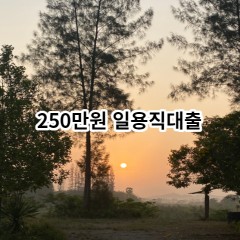 250만원 일용직대출 급전 당일 소액 일수 월변