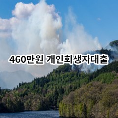 460만원 개인회생자대출 급전 당일 소액 일수 월변