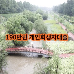 190만원 개인회생자대출 급전 당일 소액 일수 월변