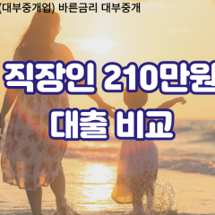 직장인 월변210만원대출 소액210만원대출 개인돈210만원 비대면210만원